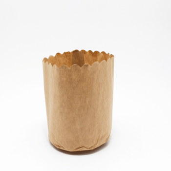 FORMA P/ PANETONE 250G C/10